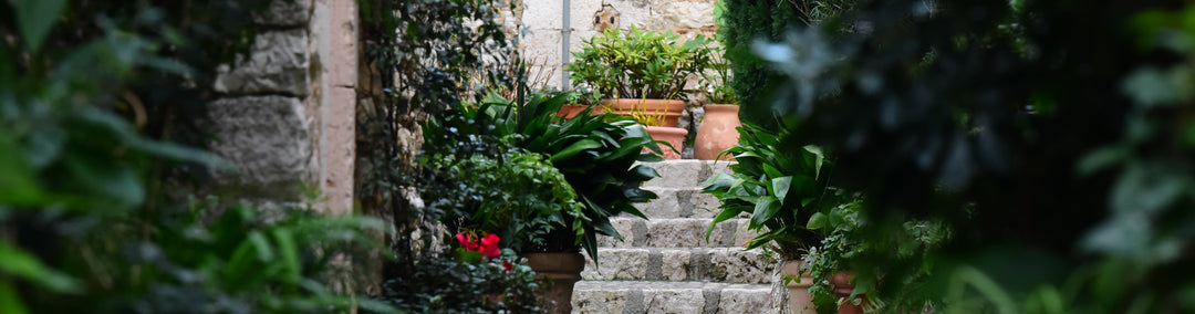 CRISTINA MOROZZI'S READING LIST: The Planetary Garden