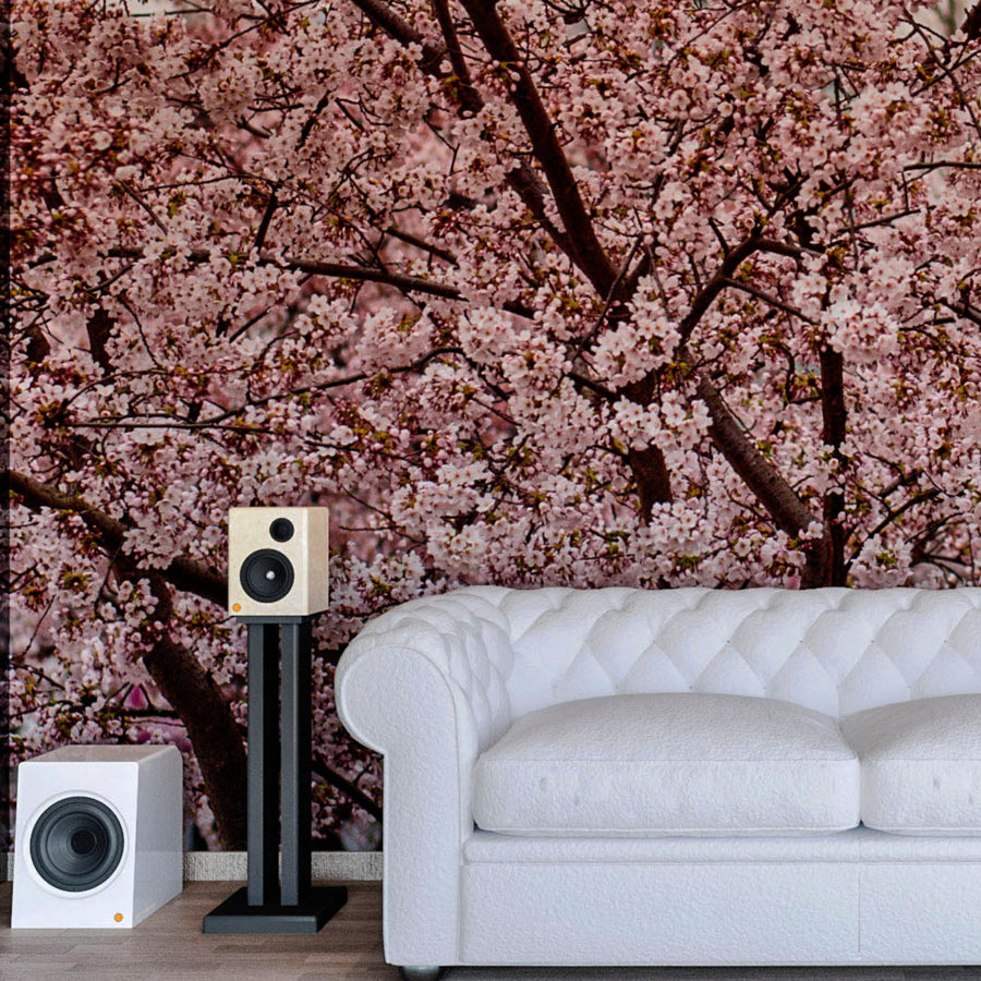 Loudspeakers DEEP BREATH DUETTO with Amplifier - Set of Two by Care Orchestra 1