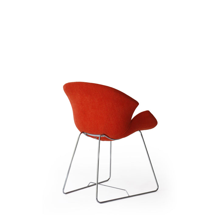 Armchair DAISY by Sandro Santantonino for Giovannetti 02