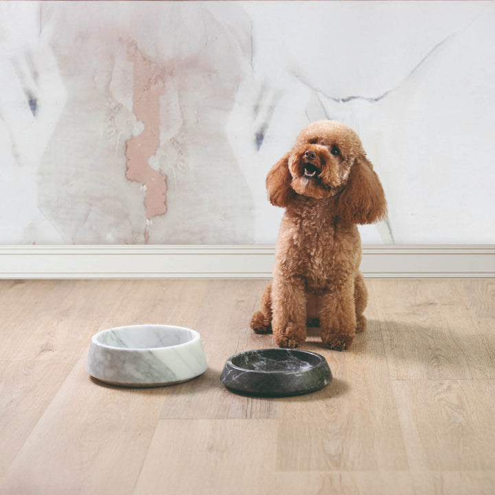 Marble Pet Bowl GEMS ONE by Valeria Pompa for Labilla