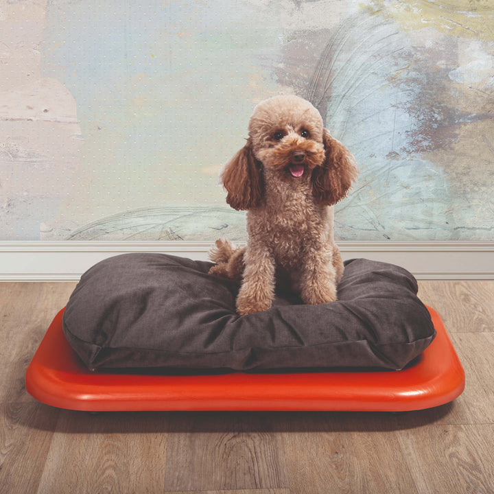 Panier pour chien NUVOLA par Valeria Pompa pour Labilla