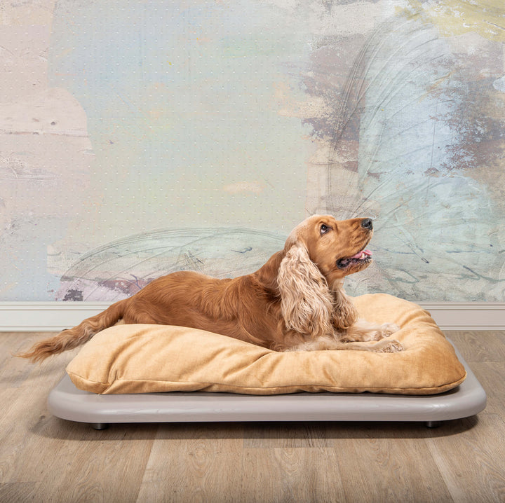 Panier pour chien NUVOLA par Valeria Pompa pour Labilla