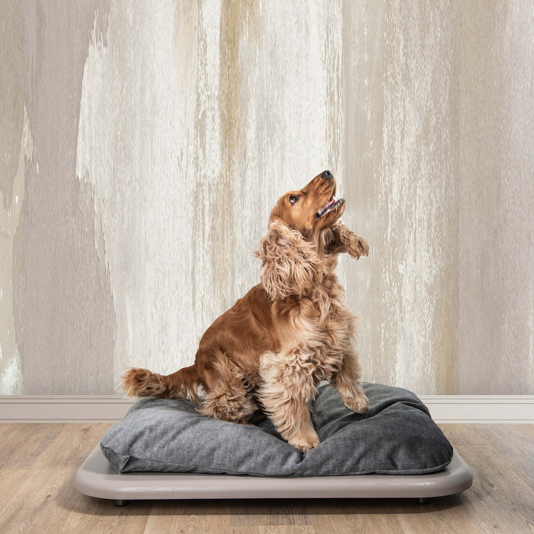 Panier pour chien NUVOLA par Valeria Pompa pour Labilla