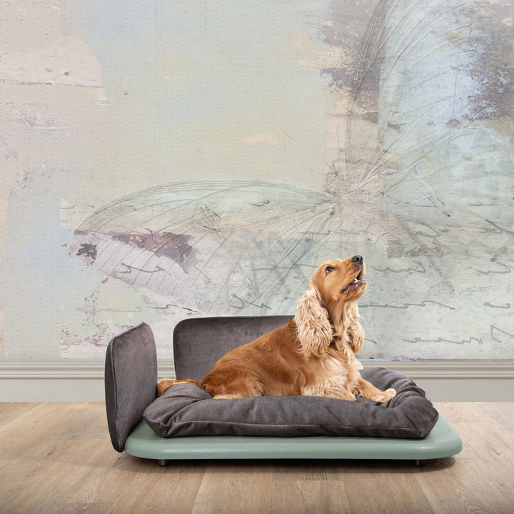 Panier pour chien NUVOLA PLUS par Valeria Pompa pour Labilla