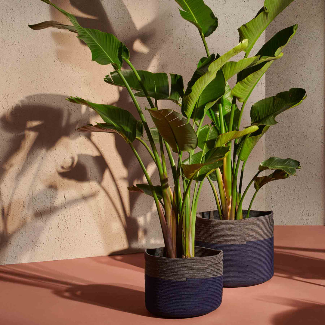 Outdoor Baskets PODOR Set of 2 by Cassina 3