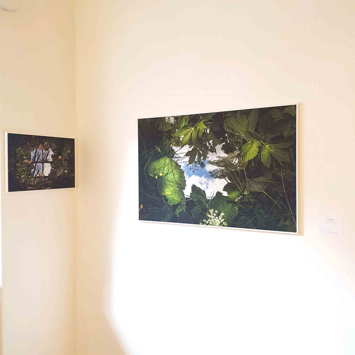 OLTRE IL VISIBILE DELLA NATURA n.3 - Andrea Tirindelli - 2019- 50 ×70 - Limited Edition 02