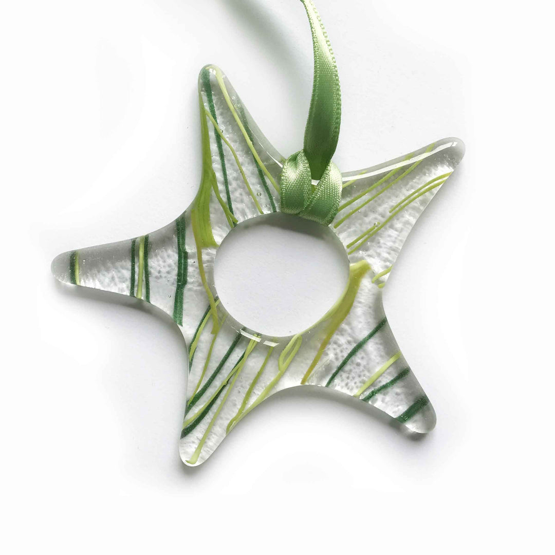 Murano Glass Christmas Ornament STELLA Clear Set of Twelve by D.i. Più Andretto Design 04
