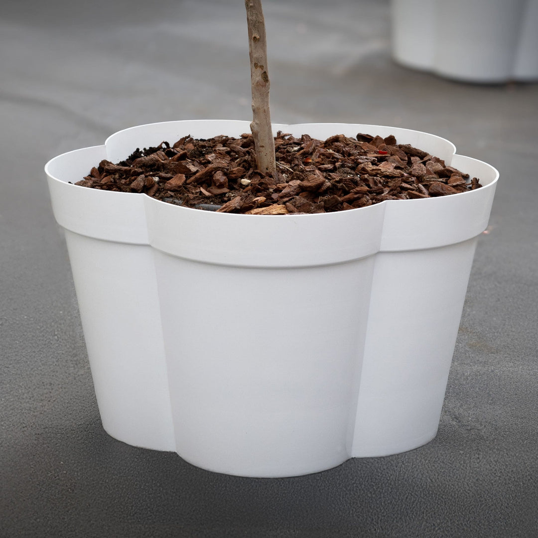 Jarrón Exterior VASO FIORE de Furf para Designtech Originals