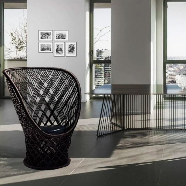 Peacock Armchair PAVO REAL by Patricia Urquiola for Driade 03
