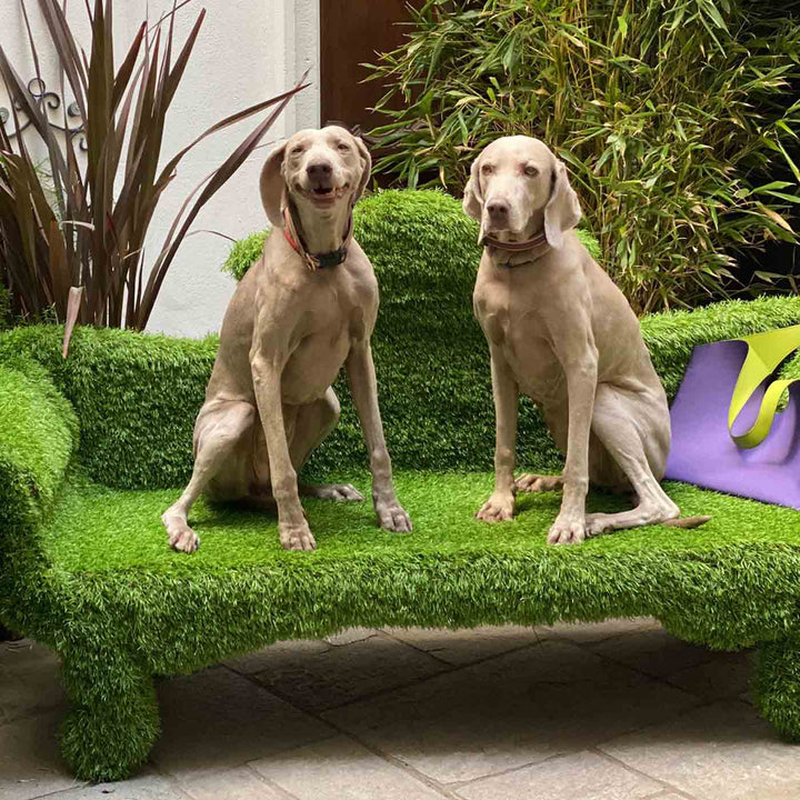 Sofa SOFAGREEN by 13Ricrea 04
