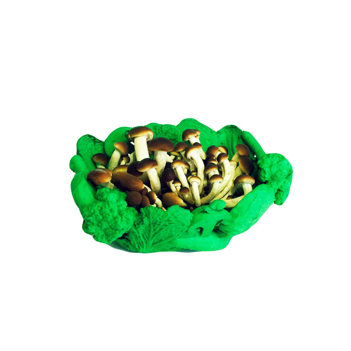 Fruit Bowl MINESTRONE by Donegani&Lauda for Cyrcus Design 04