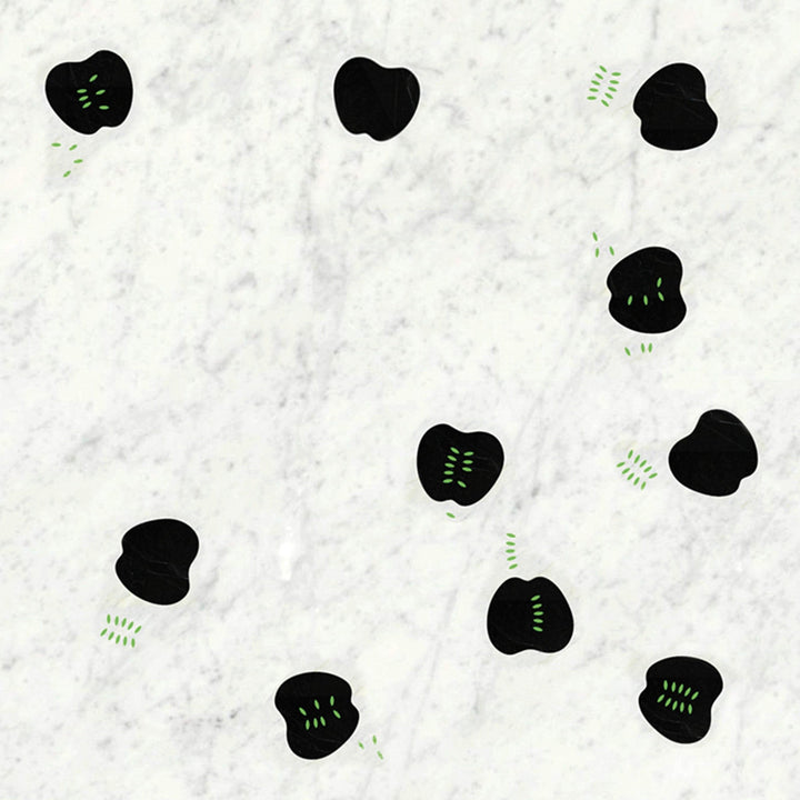 Inlaid Marble Tile INTARSIA R17-103 01