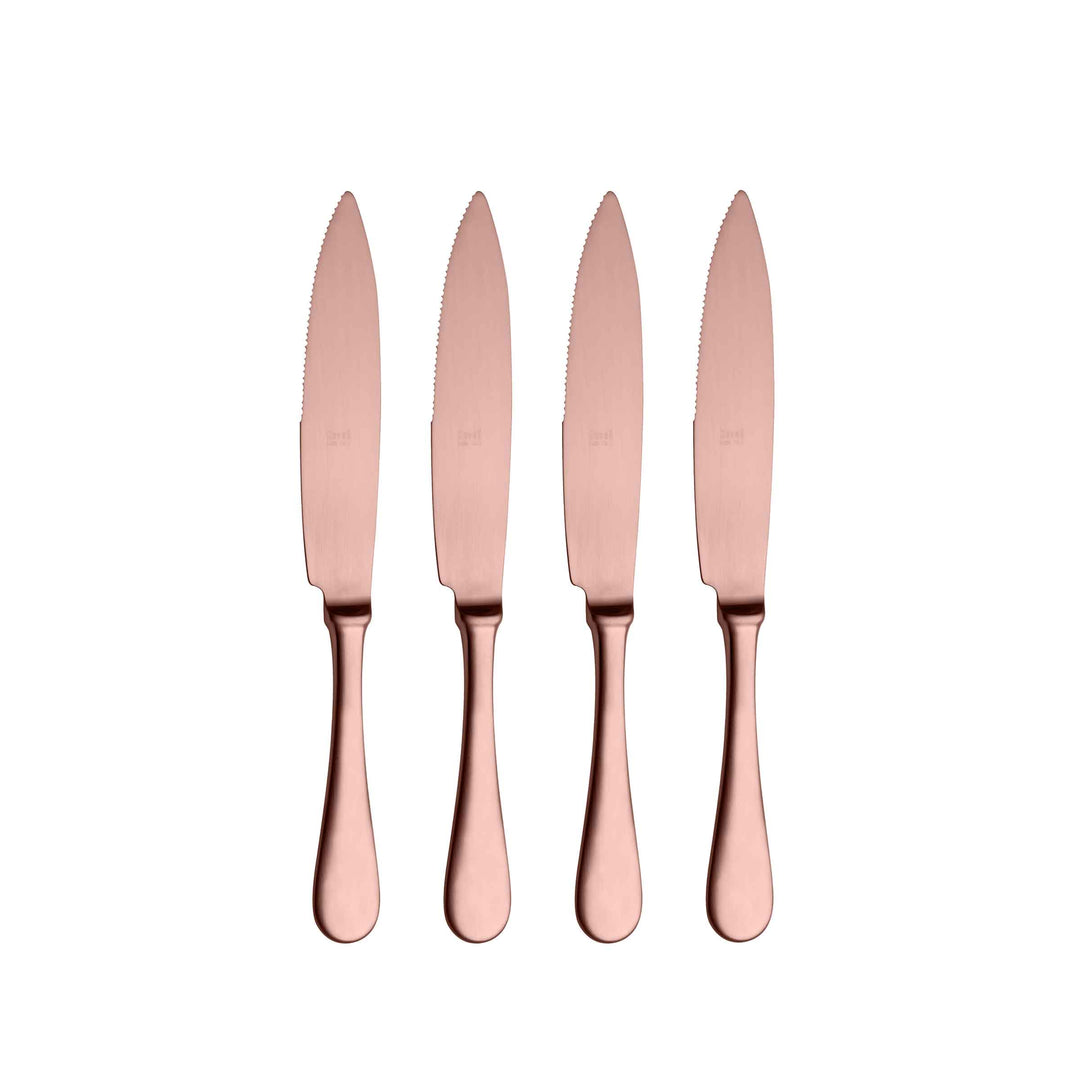 Stainless Steel STEAK KNIFE Set of Four by Mepra 05