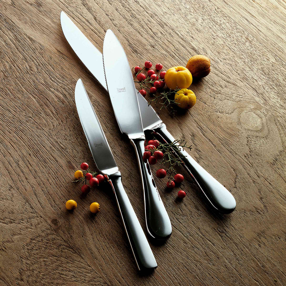 Stainless Steel STEAK KNIFE Set of Four by Mepra 02