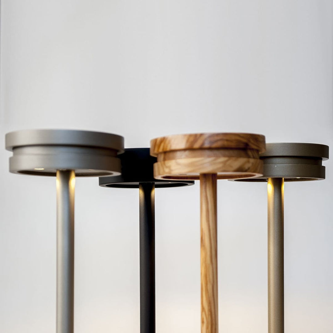 Olive Tree Table Lamp ALLUCIA 03