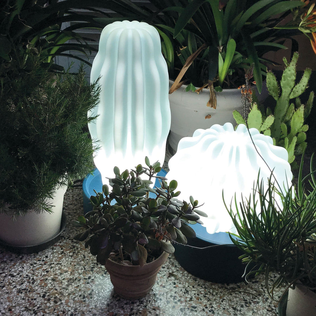 Decorative Object CACTUS LARGE with Light by Alessandra Baldereschi for Serralunga 02