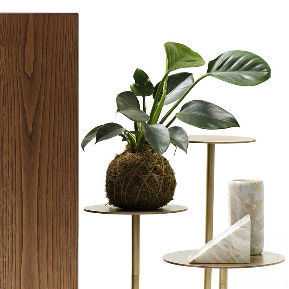 Oak Plated Cabinet IKEBANA CREDENZA by Uto Balmoral for Mogg 02
