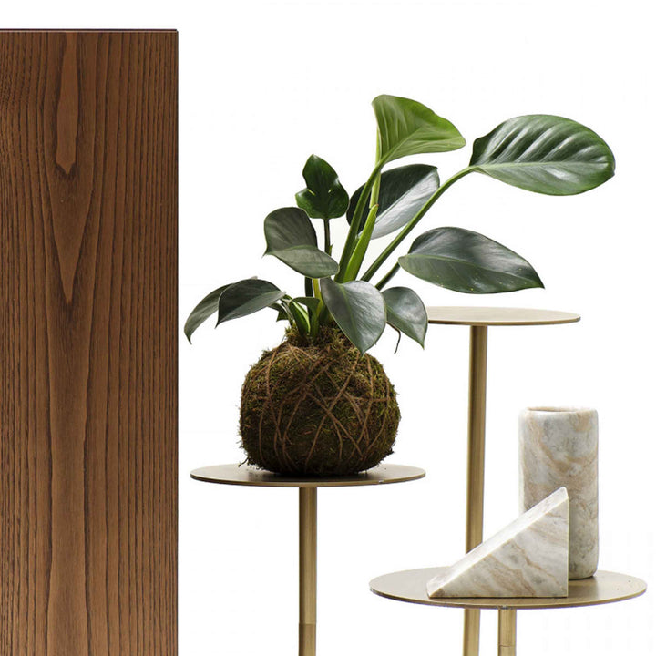 Oak Plated Cabinet IKEBANA CREDENZA by Uto Balmoral for Mogg 02