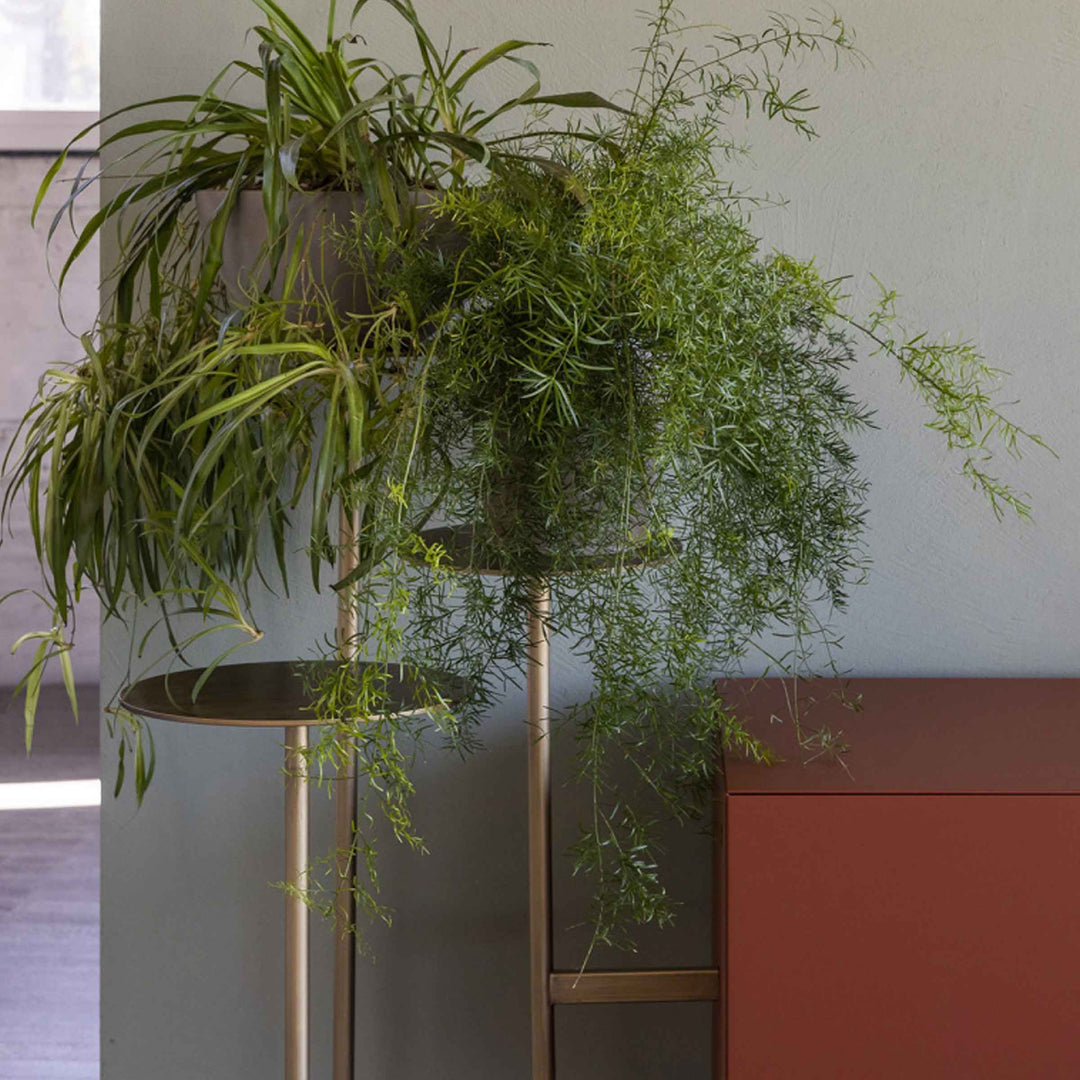 Lacquered Sideboard IKEBANA CREDENZA by Uto Balmoral for Mogg 010