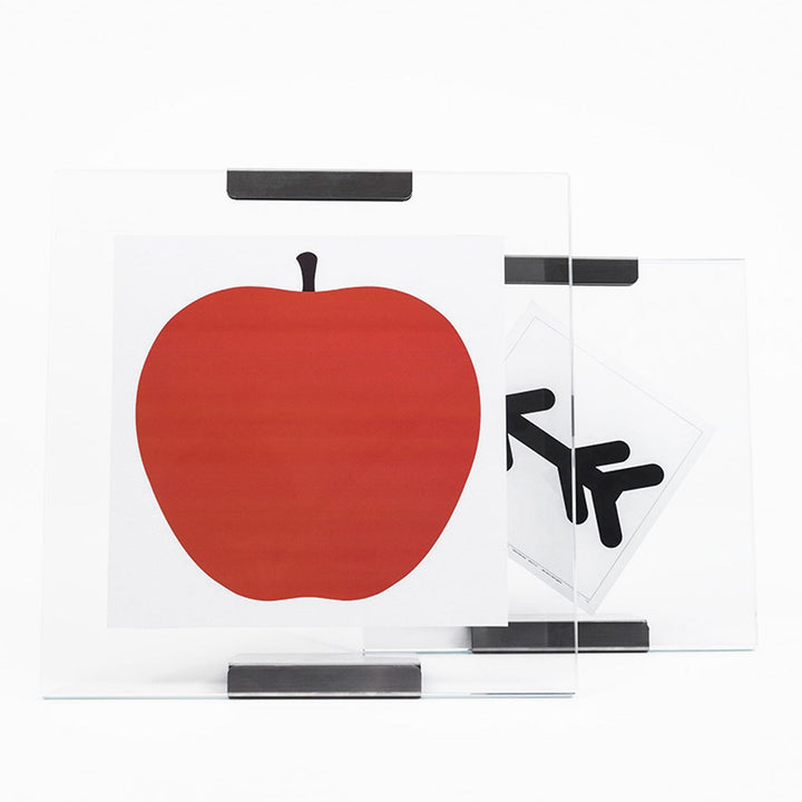 Glass and Steel Frame GALAPAGOS by Bruno Munari 04