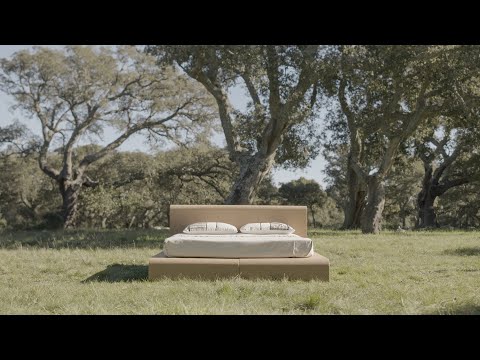 Cork and Wood Bed BISU 11